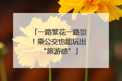 一路繁花一路景！乘公交也能玩出“旅游感”
